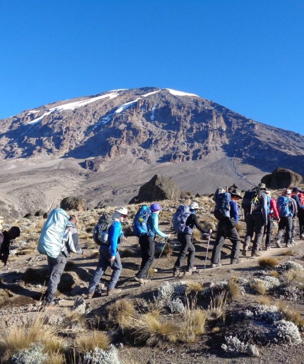 Umbwe_route_Hiking_Kilimanjaro