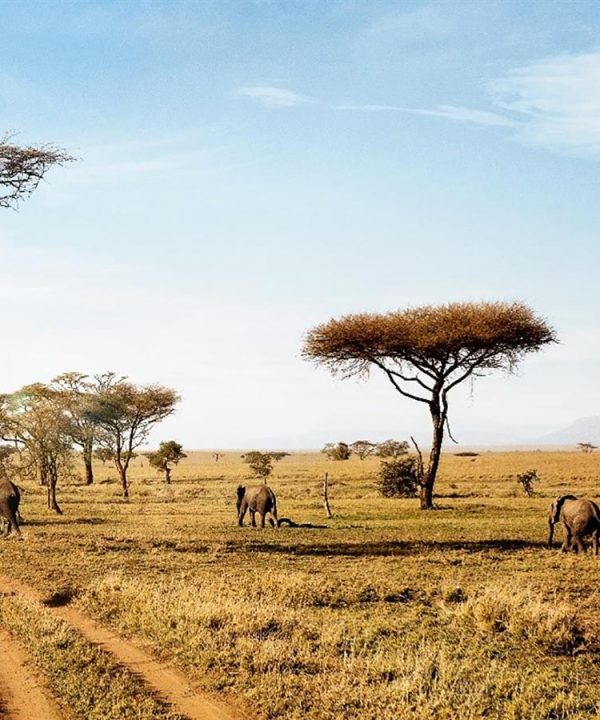 serengeti_national_park