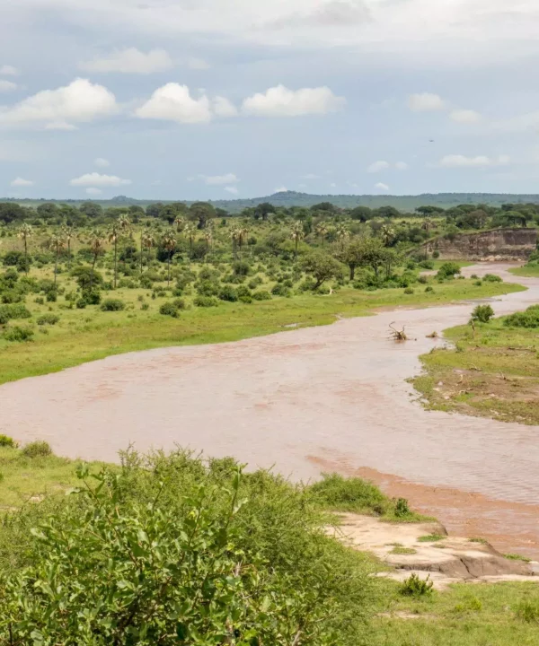 tarangire national park